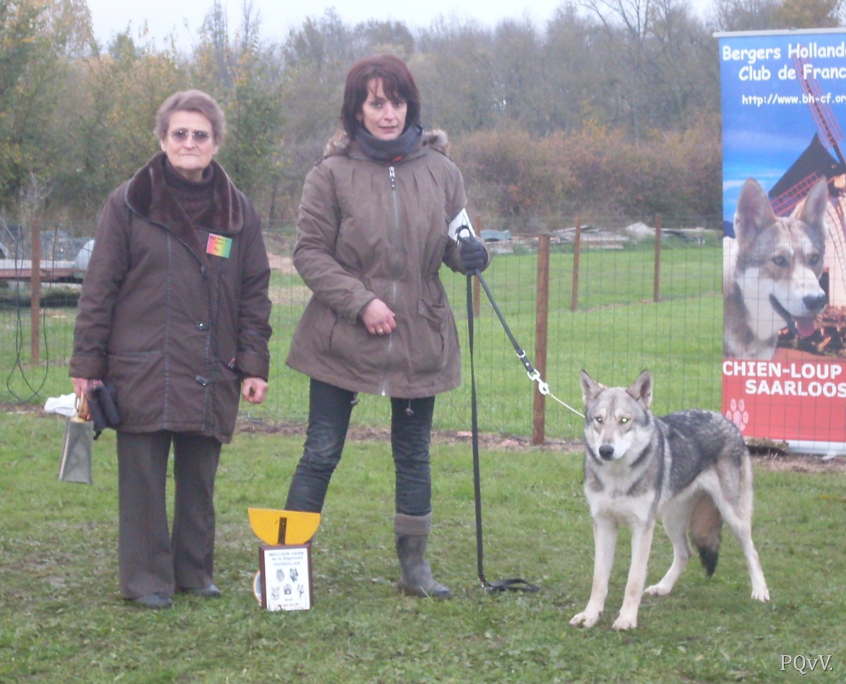  Gimini Criquette d’Angeli Fee, meilleur chien de l’exposition